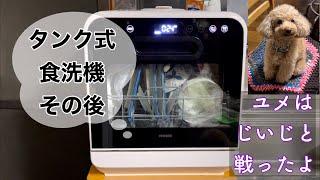 タンク式食洗機購入の7ヶ月後。工事不要、水5ℓで洗浄とすすぎ完了。