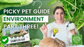 Your Bun's Environment is Affecting Their Diet! (Picky Pet Guide PART 3)