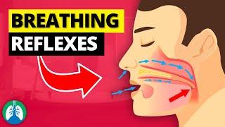 Top 7 Breathing Reflexes of the Human Body