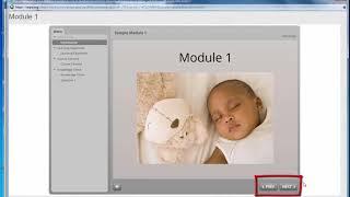 Complete a VEIPD Professional Development Course