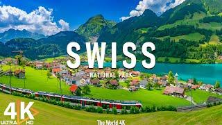 Swiss National Park 4K UHD • Land of Unspoiled Alpine Beauty • Relaxation Film, Calming Music