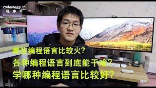 到底该学哪种编程语言？哪些编程语言比较火？各种编程语言到底能干啥？