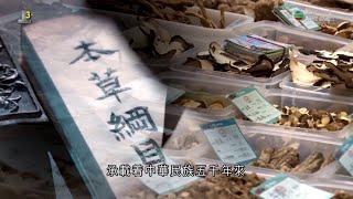 【團結香港基金呈獻】江山多驕 - 第三十六集