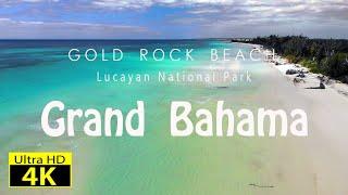 Grand Bahama 4K - Gold Rock Beach - aprile 2024 - drone - Silvia Ferroni