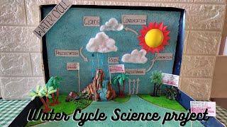 Science Project / Water Cycle Model/ DIY Water Cycle Project/  Science Exhibition #homemitra #diy