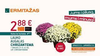 Jums į pliusą, mums į minusą! #ERMITAŽAS