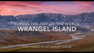 Wrangel Island & Chukotka Gallery by Photographer Sergey Dolya