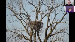Nesting Eagles Podcast Episode 4- Eggs are here!