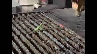 Praying mantis vs laser