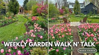 APRIL GARDEN TOUR 2024 // Spring Bulb Tour // Weekly Garden Walk N' Talk // Northlawn Flower Farm