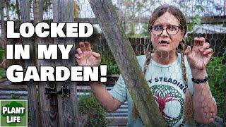 Locked in the Garden