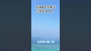 石垣島の空飛ぶ小学生cocoro！NP取得しました！#石垣島 #石垣島パラグライダー #パラグライダー #スカイアドベンチャーうーまくぅ