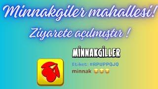 MİNNAKGİLLER 1, HAY DAY UMİT UYKU