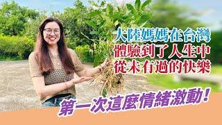 大陸媽媽在台灣體驗到了人生從所未有的快樂？！第一次這麼情緒激動！【台灣媳婦欣兒】