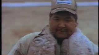 Visit From Africa (1993)