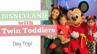 ONE ADULT AND TWO TODDLERS IN DISNEYLAND and CALIFORNIA ADVENTURE | DAY TRIP | Rides and Attractions