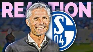 Calcio Berlin REAGIERT auf Kees van Wonderen als neuen Trainer von Schalke 04!