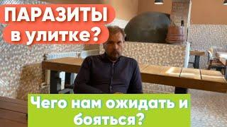 ПАРАЗИТЫ в улитке? Чего нам ожидать и бояться?!