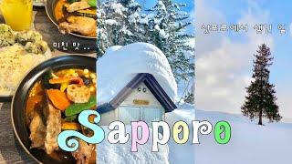 삿포로 여행 브이로그 ️ 이 영상을 본 당신. 삿포로에 가게 됩니다 찐 감탄한 맛집 푼다  Sapporo vlog