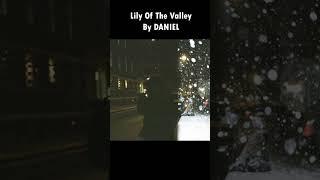 Lily Of The Valley is a masterpiece (Daniel) #artist #music #songs #daniel #lilyofthevalley #fyp #yt