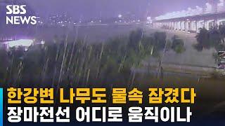 [뉴스특보] 한강변 나무도 물속 잠겼다…장마전선 어디로 움직이나 / SBS