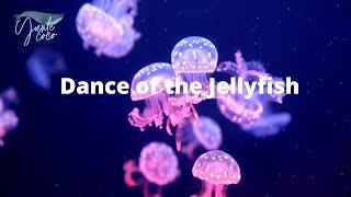 Dance of the jellyfish (peaceful music for sleeping)[peaceful music for studying] relaxing and calm