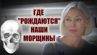 ГДЕ, на самом деле, "рождаются" наши морщины | И при чём тут череп?over50 @ludmilabatakova