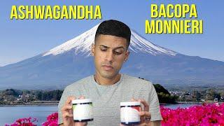 Ashwagandha vs. Bacopa Monnieri | Which Is Better?