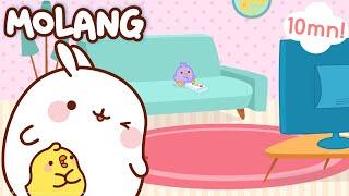 Molang - The Birdling | A #cutepet for a #new season ! | #cutecartoon