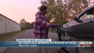 86-Year-Old Woman Attacked By Dog