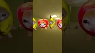 Apple Cat and Banana Cat nextbot gmod in backrooms