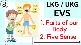 Part 8- LKG / UKG EVS Course | parts of the body name & our 5 sense organs | lkg evs online classes