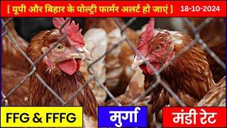 Aaj ka thok murga mandi rate | Murga mandi rate today | Murga mandi rate aaj ka #chicken #poultry