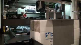 Rotary Gate Case Packer with Integrated Case Erector