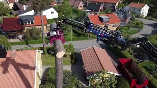 Cranetruck sawing tree - HIAB X-HiPro 408 E-6 + Jib 70X -4 #1 | Jansson & Frank Transport