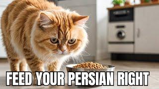 The Ultimate Guide to Persian Cat Food: What You MUST Know!