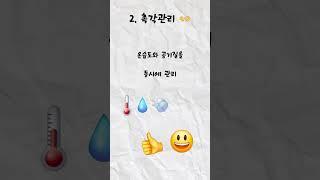 잇올 스파르타 오감관리에 대하여