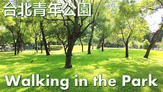 Morning walking in Taipei Youth Park [4k]