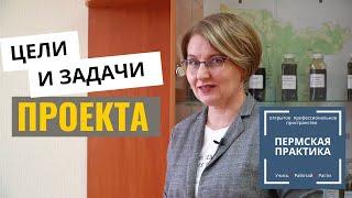 Часть 1. Цели и задачи проекта "Пермская практика"