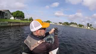 Testing VENSE Fishing Rod by BILL SIKORA