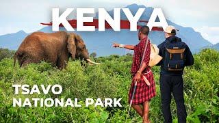 This Is Kenya’s LARGEST National Park – TSAVO (WILDLIFE, MAASAI, SAFARI)