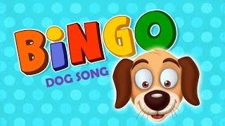 BiNGO Dog || Nursery Rhymes Songs - KidsOne