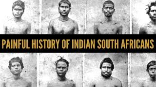 Indian South Africans: The painful story of indentured labourers | African Biographics