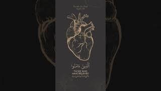 Find Inner Peace with Surah Ar-Rad Ayah 28 by Qari Tariq Mohammed | #remembranceofallah
