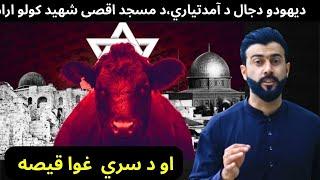 Red Heifer ( Red Cow ) explained by Tariq Pathan