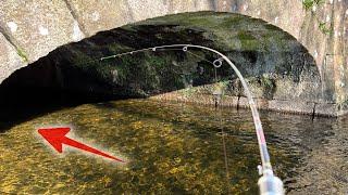 Lure Fishing IN A TUNNEL?! Tiny stream Trout Fishing