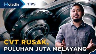 MOBIL CVT GAMPANG RUSAK? | TIPS MOBIL | MOLADIN