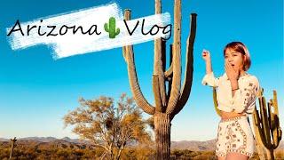 旅行VLOG：亚利桑那凤凰城 - 仙人掌怪｜Arizona Vlog - Phoenix｜Memorial Day Long Weekend Getaway