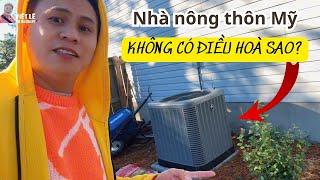 #82: Mỹ không có điều hòa hay sao mà phải đi mua củi sưởi ấm?