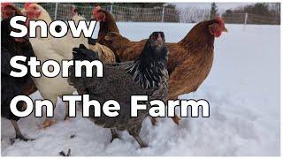 Snow Storm on Our Indiana Farm | Chicken Chores | Homestead Living | Family Friendly Channel Ep. 83